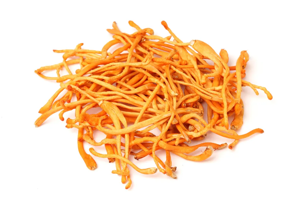 Organic Cordyceps mushroom powder, full-spectrum, bulk supply